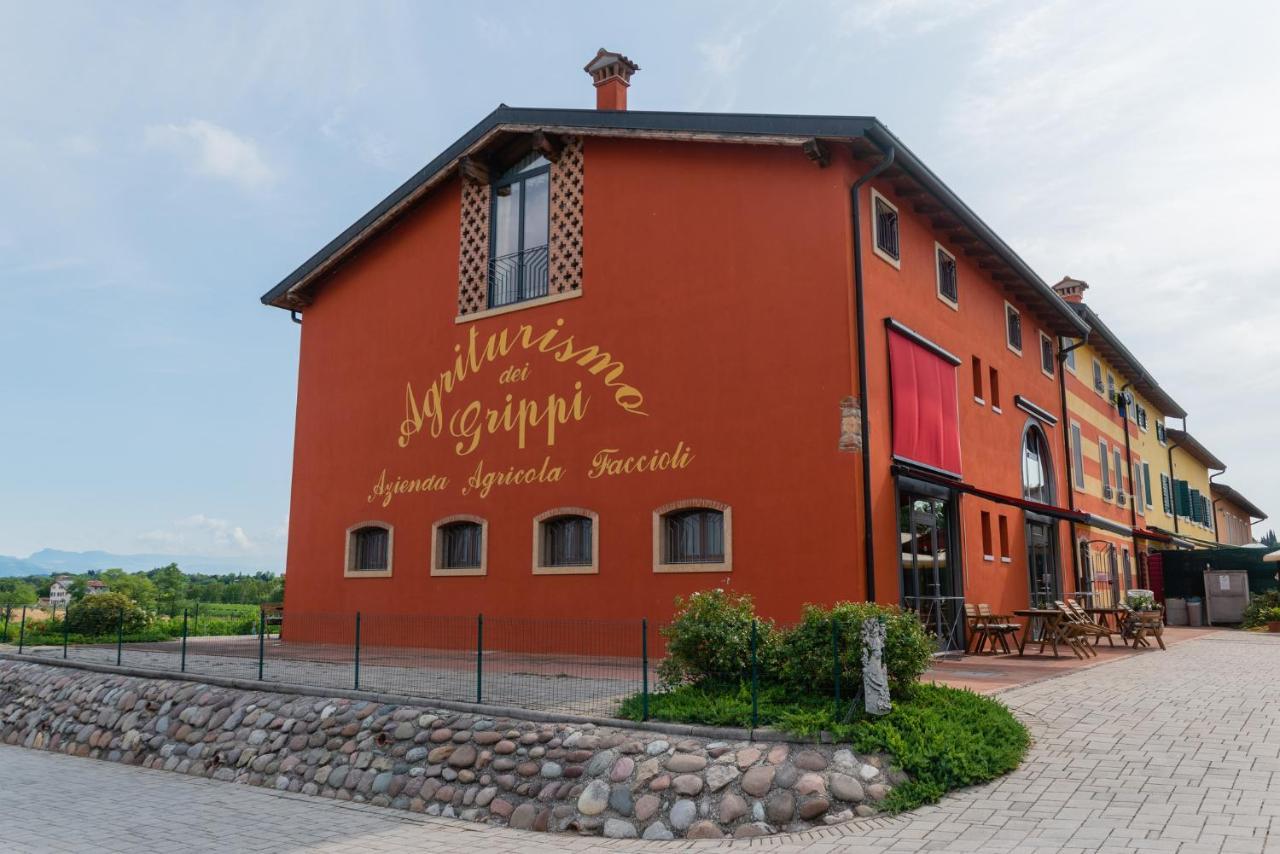 Dei Grippi *