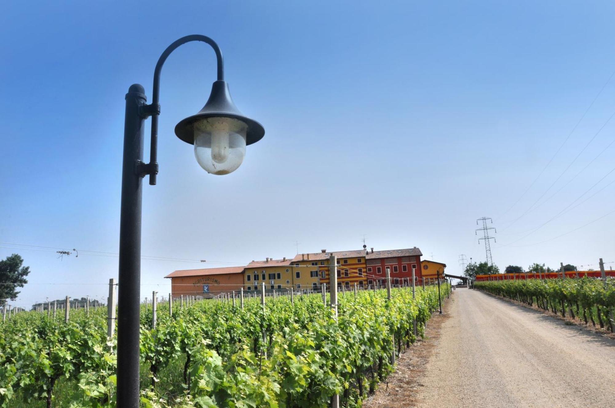 Alojamento de Turismo Rural Dei Grippi Sona